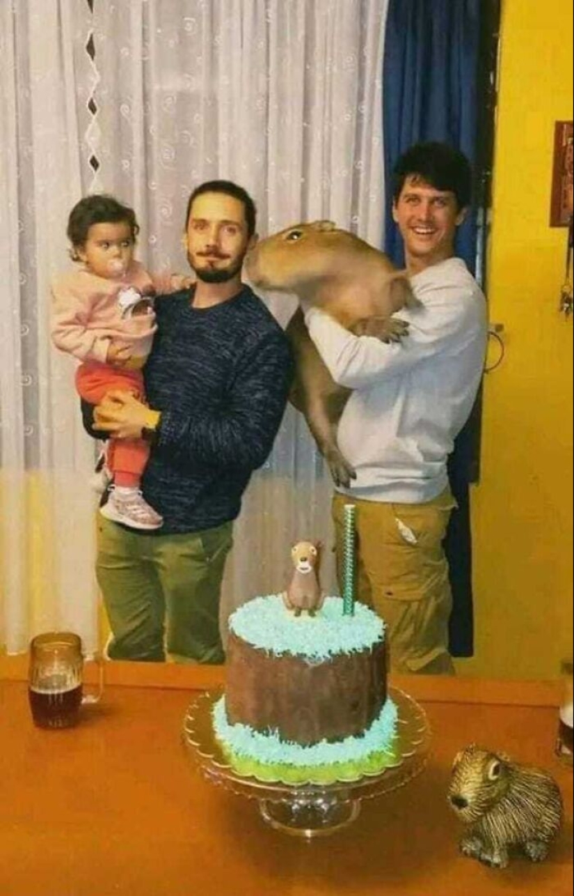 10 ‘Blessed Images’ That May Turn Your Day Around For The Better 10 ‘Blessed Images’ That May Turn Your Day Around For The Better