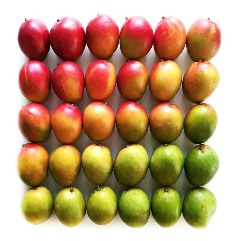 10 Captivating Gradient Photos Of Ordinary Items By Brittany Wright
