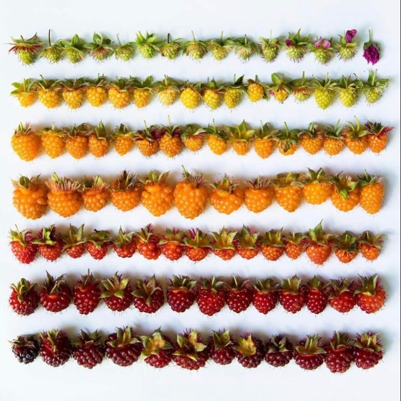10 Captivating Gradient Photos Of Ordinary Items By Brittany Wright