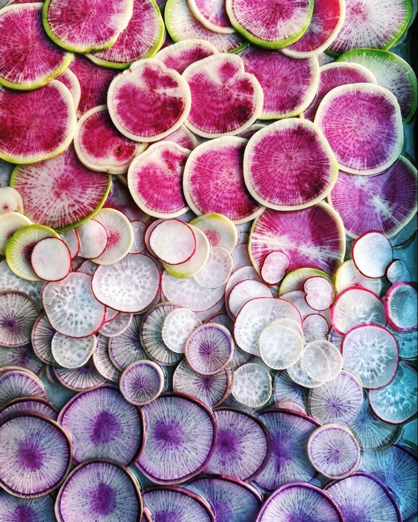 10 cautivadoras fotografías en degradado de artículos comunes por Brittany Wright