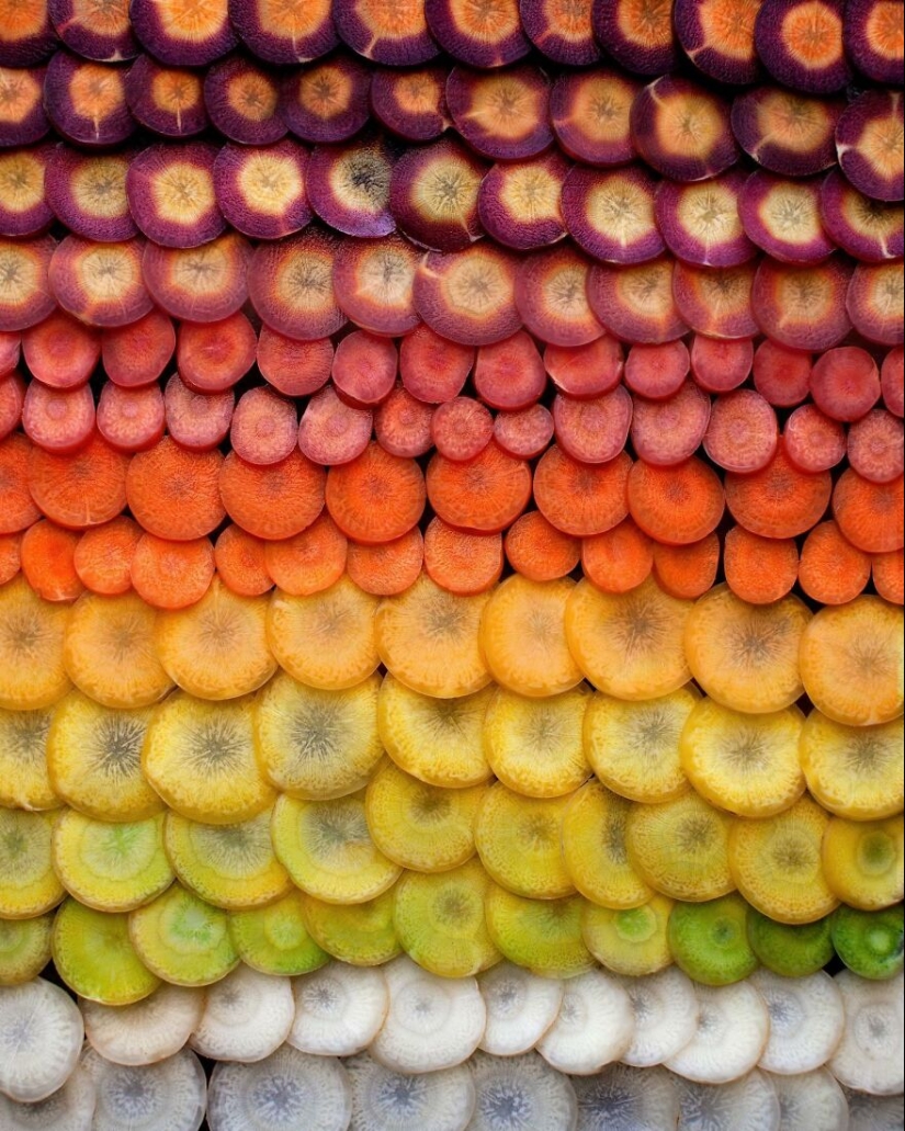 10 cautivadoras fotografías en degradado de artículos comunes por Brittany Wright