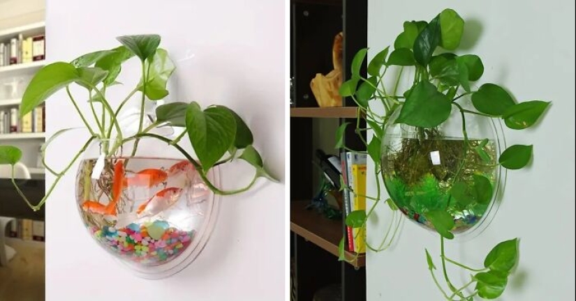 10 Cool Artsy Gifts That’ll Win You ‘Friend Of The Year’ Award