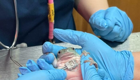 10 Cute And Funny Photos That May Show You A Different Side To These Critters 10 Cute And Funny Photos That May Show You A Different Side To These Critters