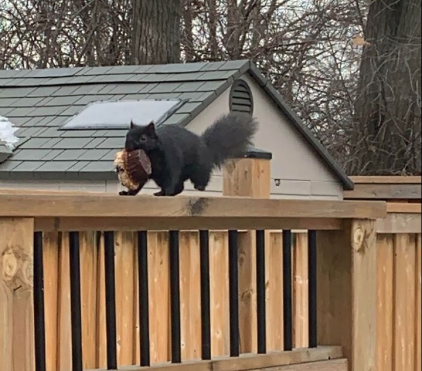 10 de las cosas más desafortunadas con las que la gente se vio obligada a lidiar 10 de las cosas más desafortunadas con las que la gente se vio obligada a lidiar