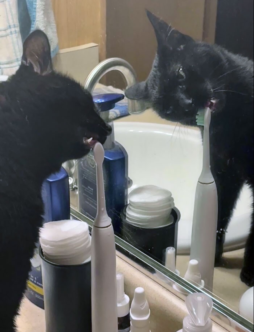 10 de las cosas más desafortunadas con las que la gente se vio obligada a lidiar 10 de las cosas más desafortunadas con las que la gente se vio obligada a lidiar