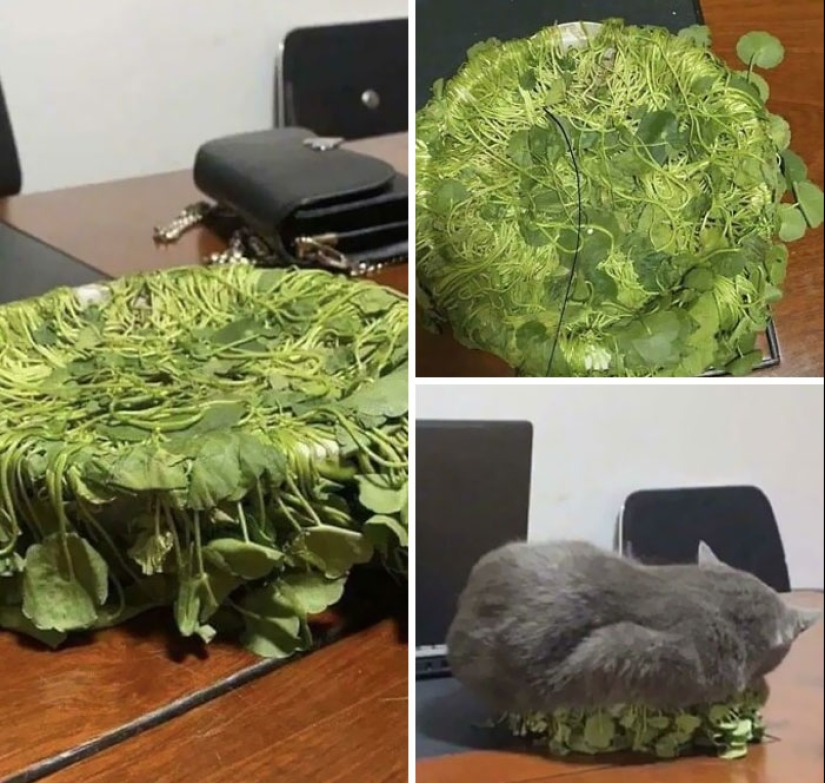 10 de las cosas más desafortunadas con las que la gente se vio obligada a lidiar 10 de las cosas más desafortunadas con las que la gente se vio obligada a lidiar