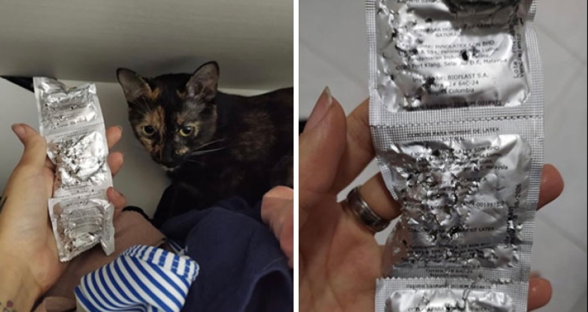 10 de las cosas más desafortunadas con las que la gente se vio obligada a lidiar 10 de las cosas más desafortunadas con las que la gente se vio obligada a lidiar