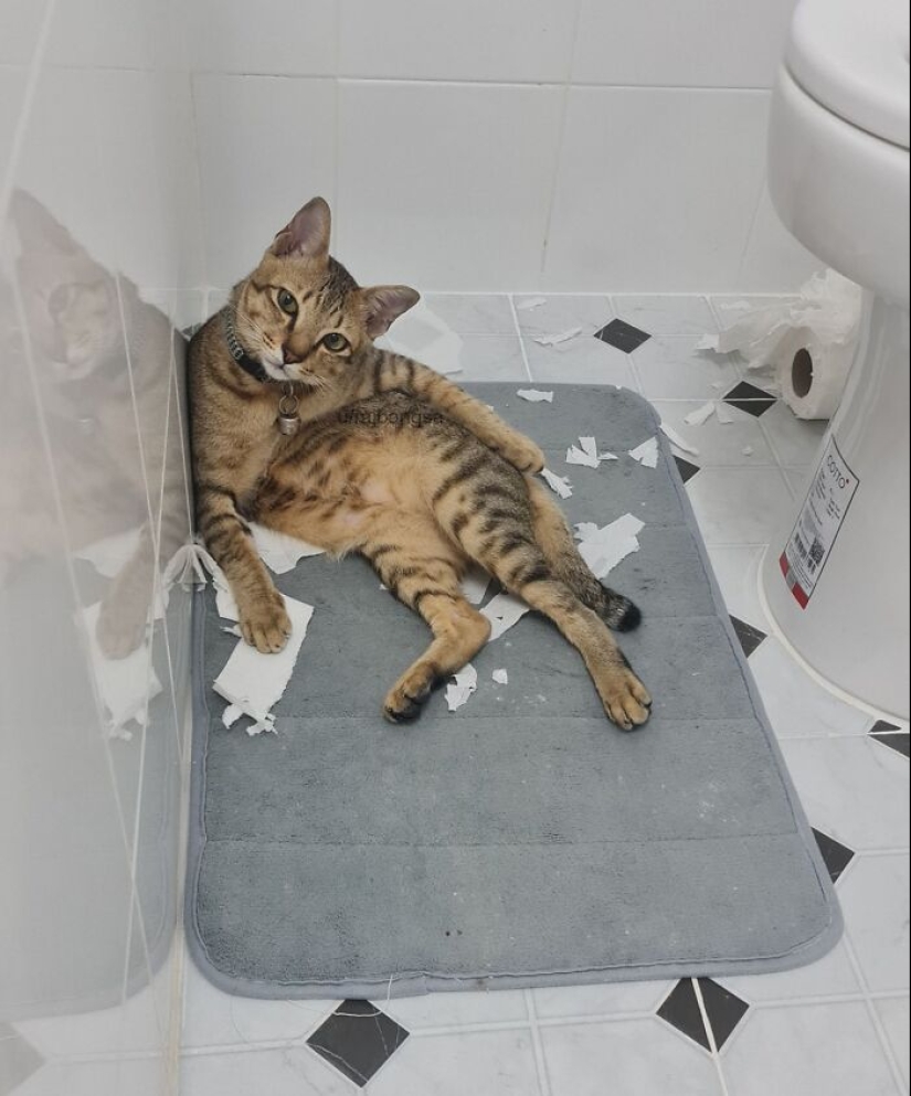 10 de las cosas más desafortunadas con las que la gente se vio obligada a lidiar 10 de las cosas más desafortunadas con las que la gente se vio obligada a lidiar