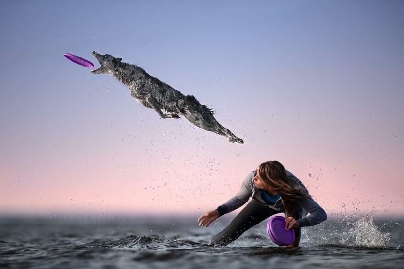 10 de las mejores imágenes de todos los tiempos de los premios internacionales de fotografía canina