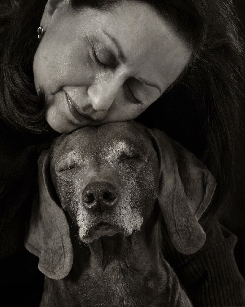 10 de las mejores imágenes de todos los tiempos de los premios internacionales de fotografía canina