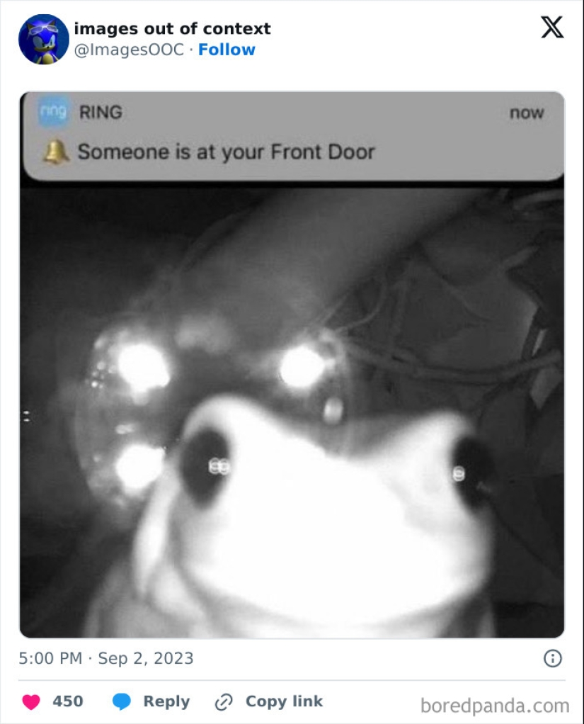 10 de las publicaciones más divertidas de la página "Imágenes fuera de contexto" 10 de las publicaciones más divertidas de la página "Imágenes fuera de contexto"