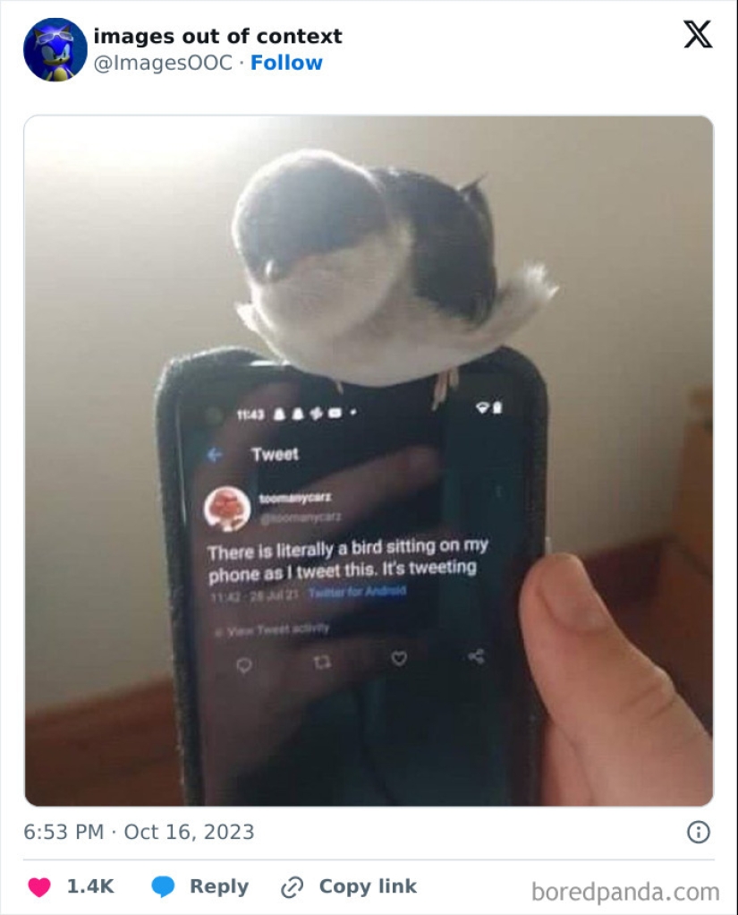 10 de las publicaciones más divertidas de la página "Imágenes fuera de contexto" 10 de las publicaciones más divertidas de la página "Imágenes fuera de contexto"