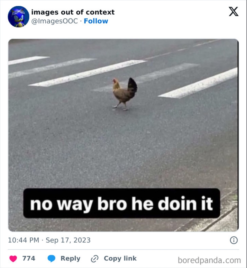 10 de las publicaciones más divertidas de la página "Imágenes fuera de contexto" 10 de las publicaciones más divertidas de la página "Imágenes fuera de contexto"