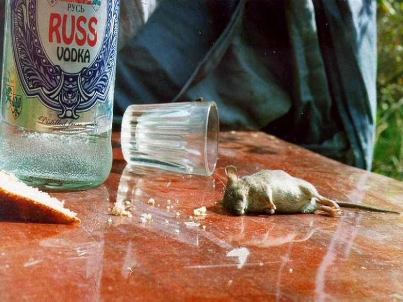 10 facts about vodka
