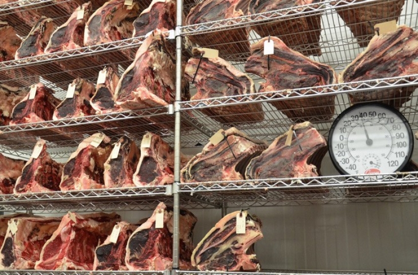 10 facts you need to know about steak 10 facts you need to know about steak