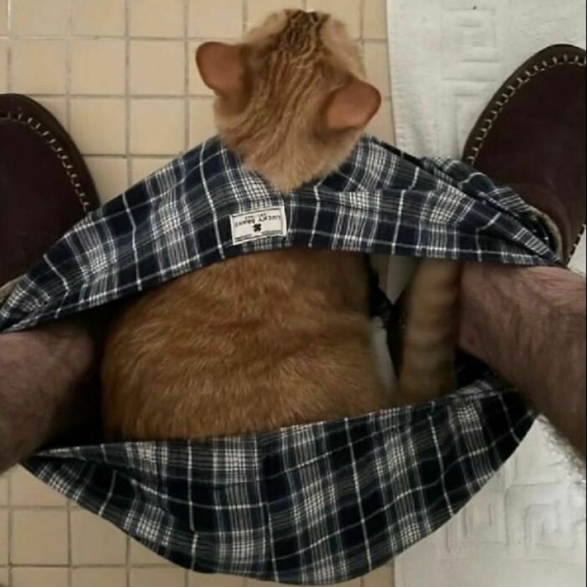 10 fotos de animales siendo muy divertidos para alegrarte el día
