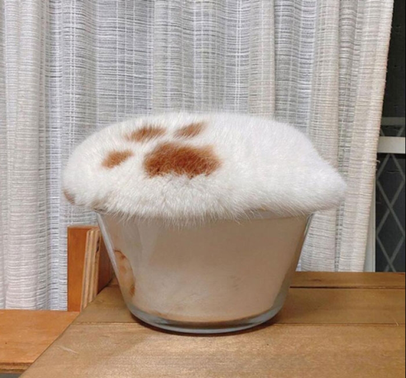 10 Hilarious Photos Of Animals Who Have An Uncanny Resemblance To Foods