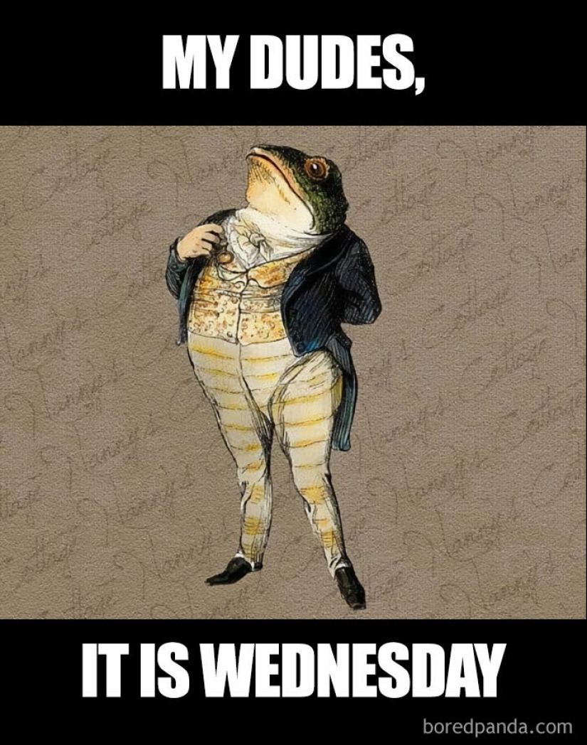 10 Hump Day Memes That Perfectly Describe Your Wednesday