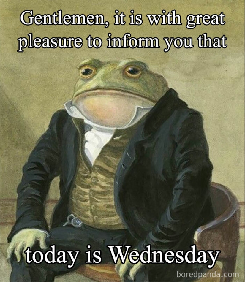 10 Hump Day Memes That Perfectly Describe Your Wednesday