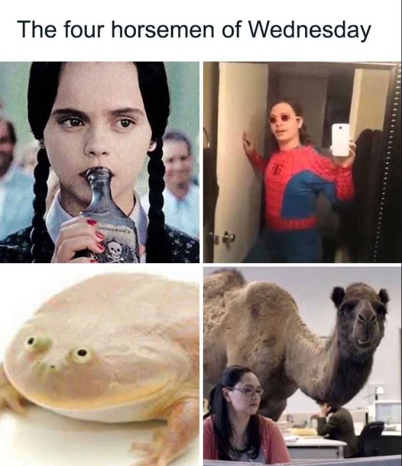 10 Hump Day Memes That Perfectly Describe Your Wednesday