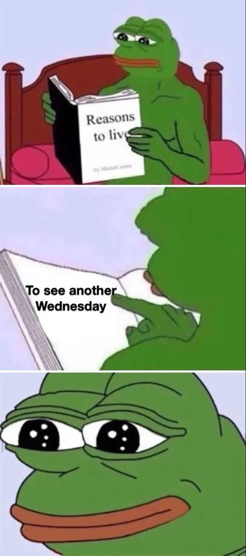 10 Hump Day Memes That Perfectly Describe Your Wednesday