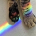 10 increíbles fotografías de “Rainbow Everything” justo a tiempo para celebrar el mes del orgullo 10 increíbles fotografías de “Rainbow Everything” justo a tiempo para celebrar el mes del orgullo