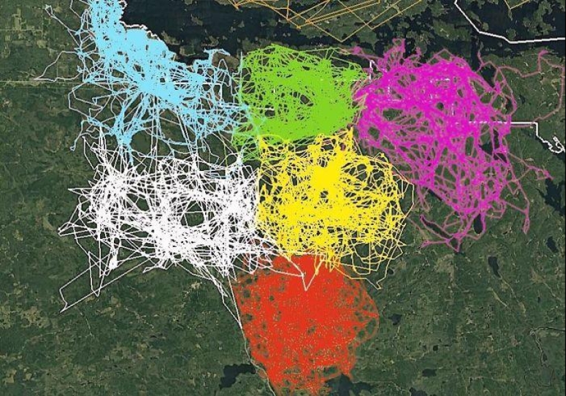 10 mapas fascinantes que muestran el lado del mundo que rara vez vemos (el mejor de todos los tiempos)