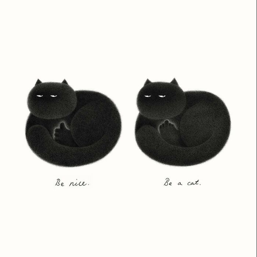 10 nuevas ilustraciones de Kamwei Fong con gatos mullidos y gruñones 10 nuevas ilustraciones de Kamwei Fong con gatos mullidos y gruñones