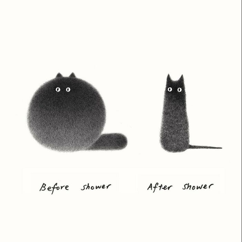 10 nuevas ilustraciones de Kamwei Fong con gatos mullidos y gruñones 10 nuevas ilustraciones de Kamwei Fong con gatos mullidos y gruñones
