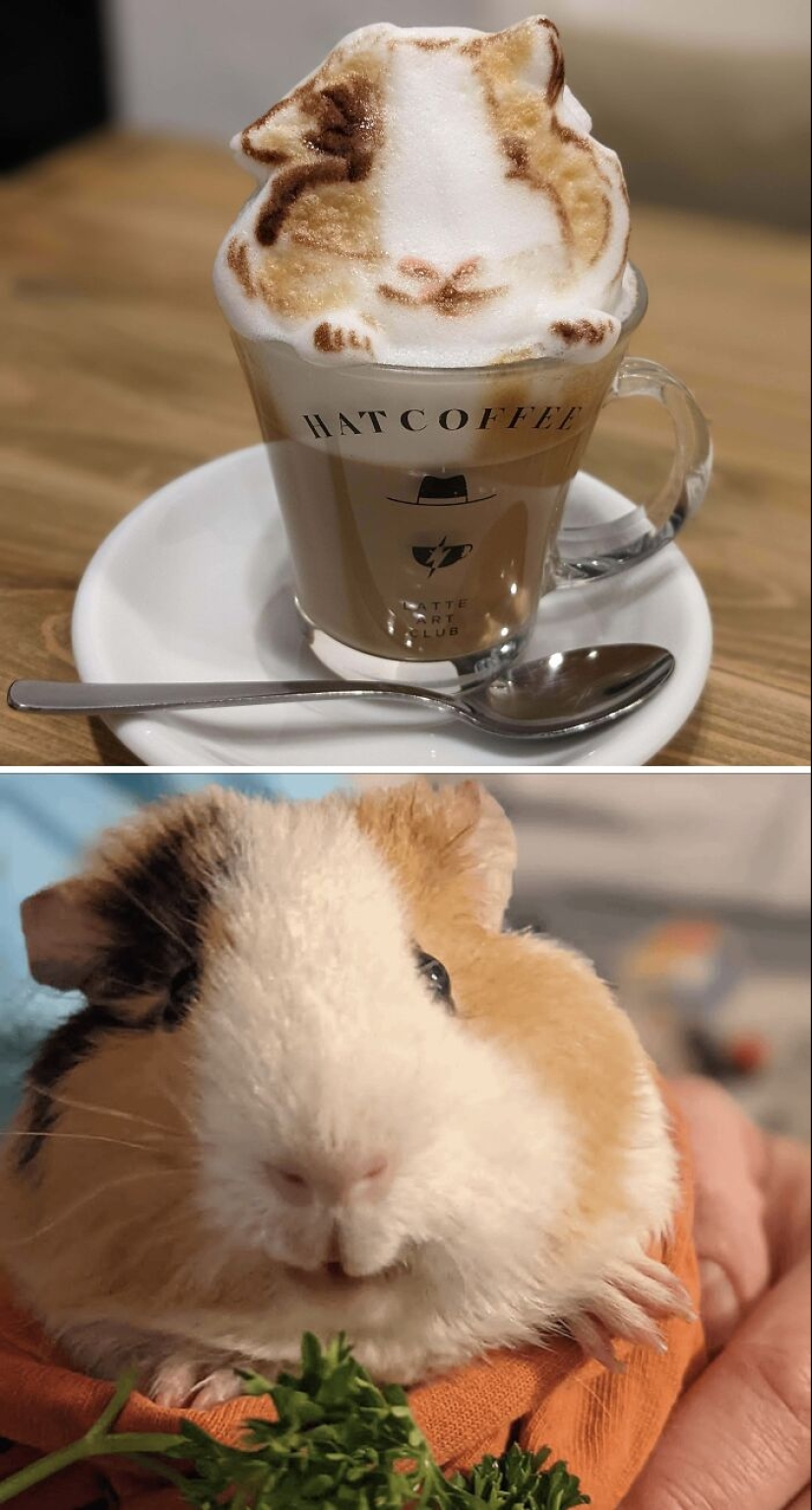 10 ocasiones en las que el Latte Art fue tan impresionante que parecía casi demasiado bueno para beberlo 10 ocasiones en las que el Latte Art fue tan impresionante que parecía casi demasiado bueno para beberlo