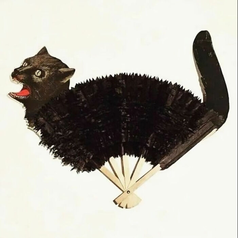 10 Pictures From ‘The Museum of Ridiculously Interesting Things’