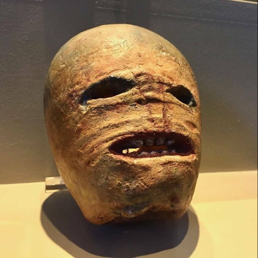 10 Pictures From ‘The Museum of Ridiculously Interesting Things’