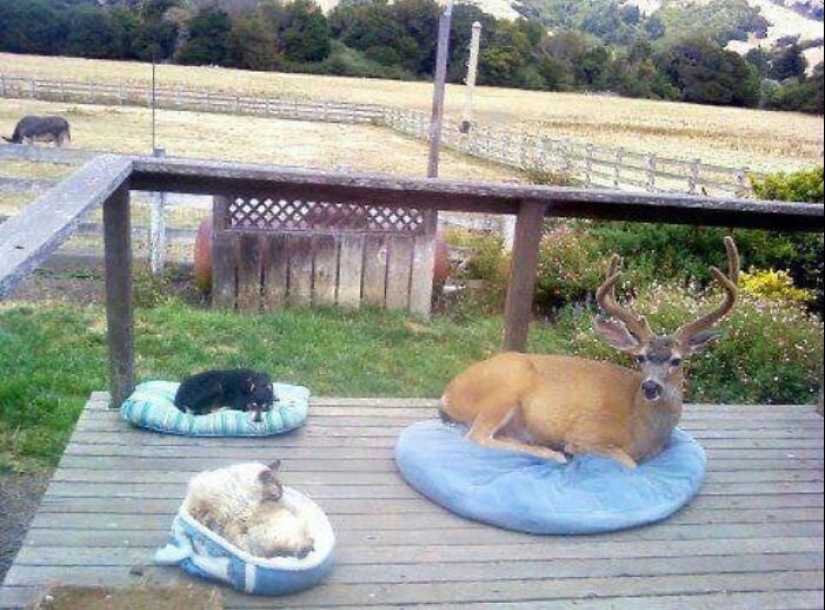10 Quirky Images To Brighten Your Day And Tickle Your Brain, Courtesy Of This IG Page 10 Quirky Images To Brighten Your Day And Tickle Your Brain, Courtesy Of This IG Page