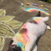 10 Quirky Images To Brighten Your Day And Tickle Your Brain, Courtesy Of This IG Page 10 Quirky Images To Brighten Your Day And Tickle Your Brain, Courtesy Of This IG Page
