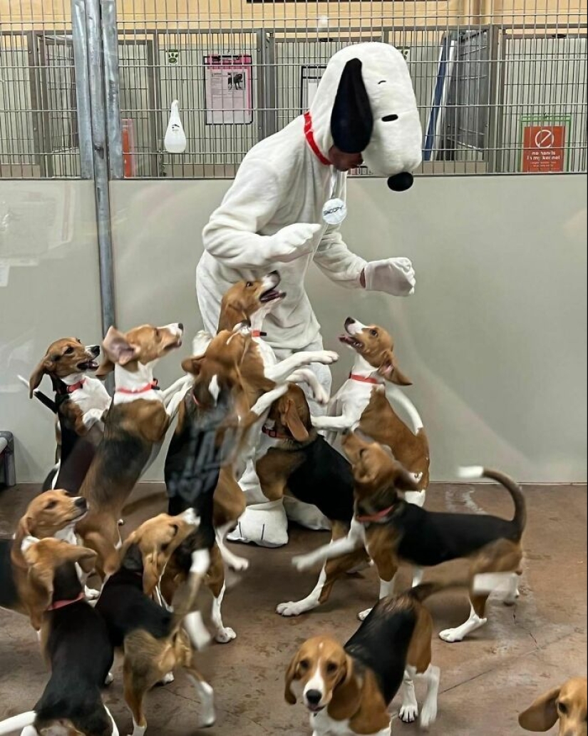 10 Quirky Images To Brighten Your Day And Tickle Your Brain, Courtesy Of This IG Page 10 Quirky Images To Brighten Your Day And Tickle Your Brain, Courtesy Of This IG Page
