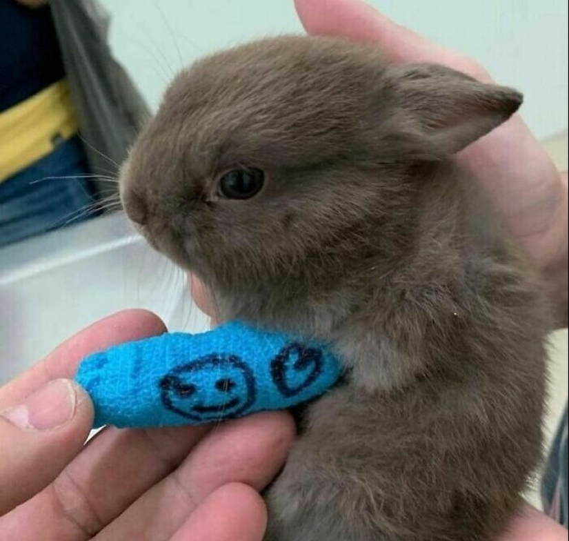 10 Quirky Images To Brighten Your Day And Tickle Your Brain, Courtesy Of This IG Page 10 Quirky Images To Brighten Your Day And Tickle Your Brain, Courtesy Of This IG Page