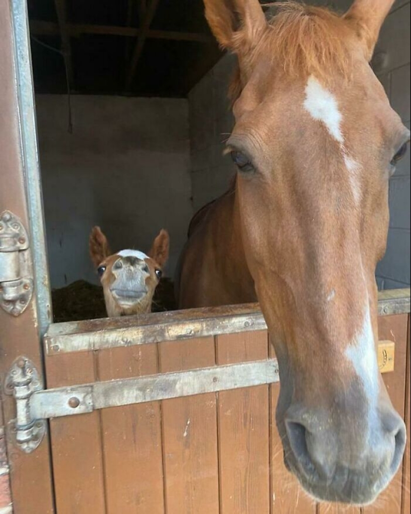 10 Quirky Images To Brighten Your Day And Tickle Your Brain, Courtesy Of This IG Page 10 Quirky Images To Brighten Your Day And Tickle Your Brain, Courtesy Of This IG Page