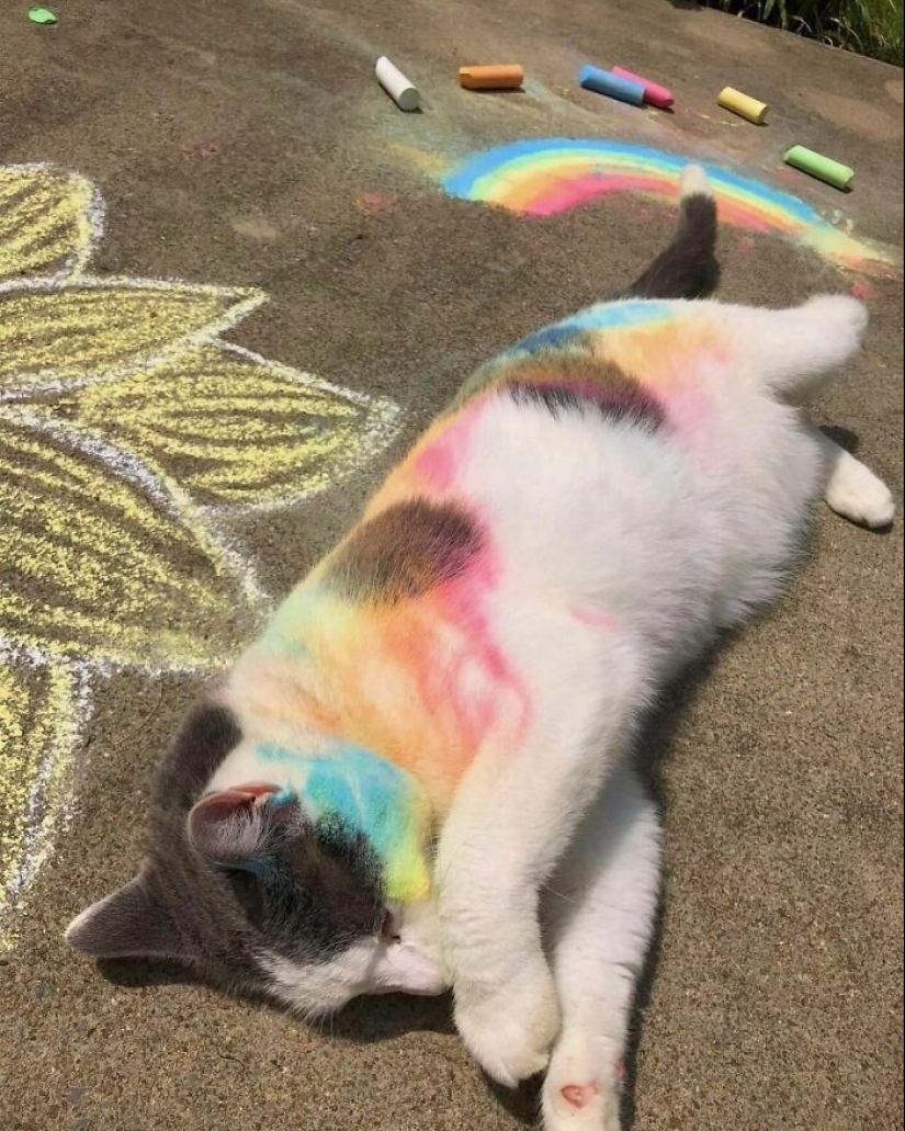 10 Quirky Images To Brighten Your Day And Tickle Your Brain, Courtesy Of This IG Page 10 Quirky Images To Brighten Your Day And Tickle Your Brain, Courtesy Of This IG Page