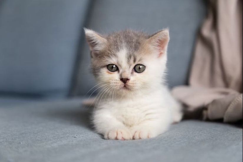 10 Secrets These People Make Sure Their Parents Will Never Know