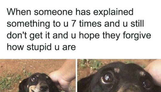 10 Times Animal Pics Were Just Perfect For Memes