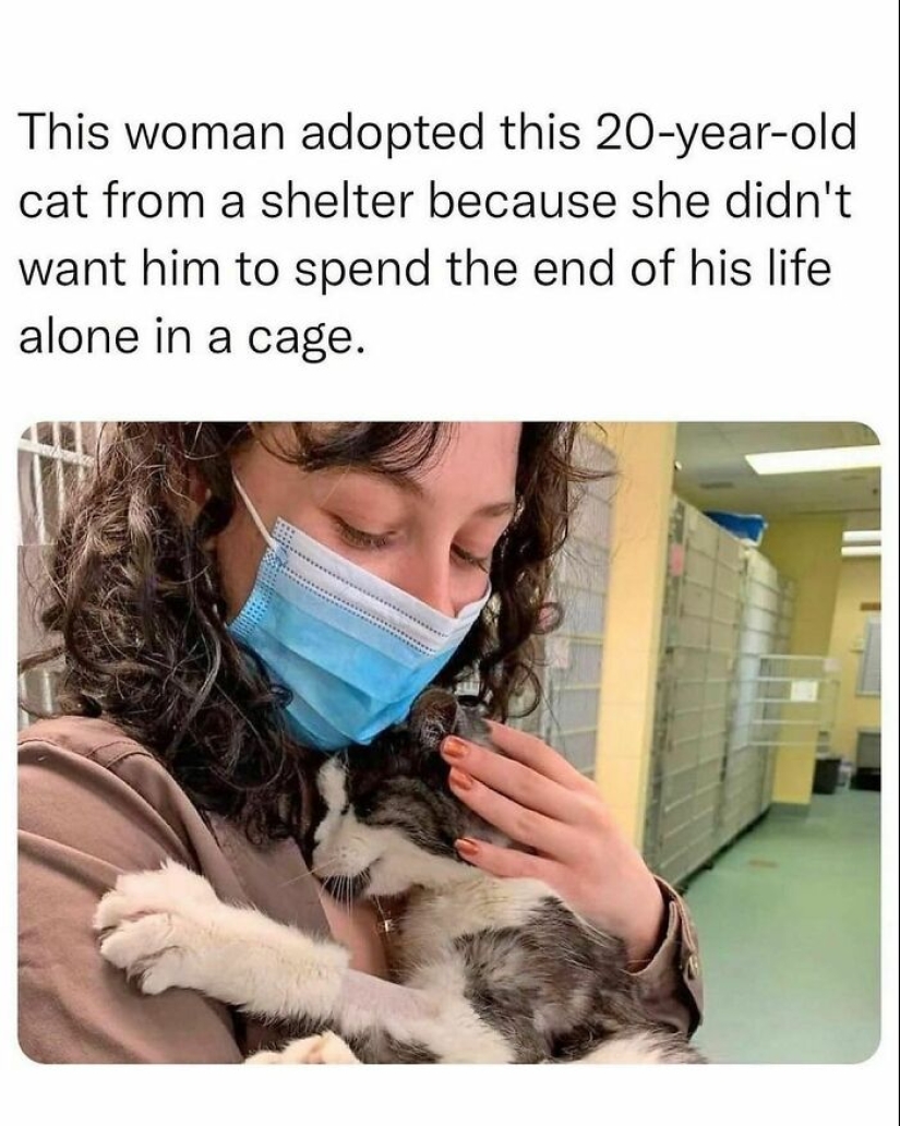 10 Times Animals Were The Perfect Meme Format, As Shared On This Instagram Page 10 Times Animals Were The Perfect Meme Format, As Shared On This Instagram Page