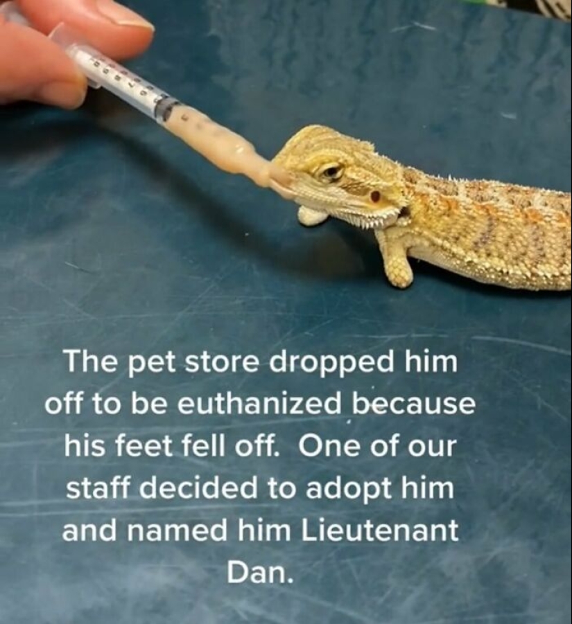 10 Times Animals Were The Perfect Meme Format, As Shared On This Instagram Page 10 Times Animals Were The Perfect Meme Format, As Shared On This Instagram Page