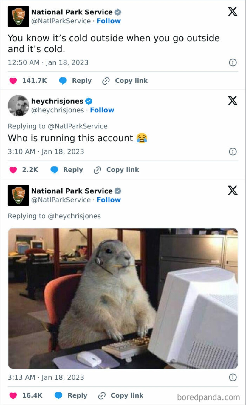 10 Times Animals Were The Perfect Meme Format, As Shared On This Instagram Page 10 Times Animals Were The Perfect Meme Format, As Shared On This Instagram Page