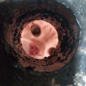 10 Times Animals Were Being So Cute, People Just Had To Snap A Pic