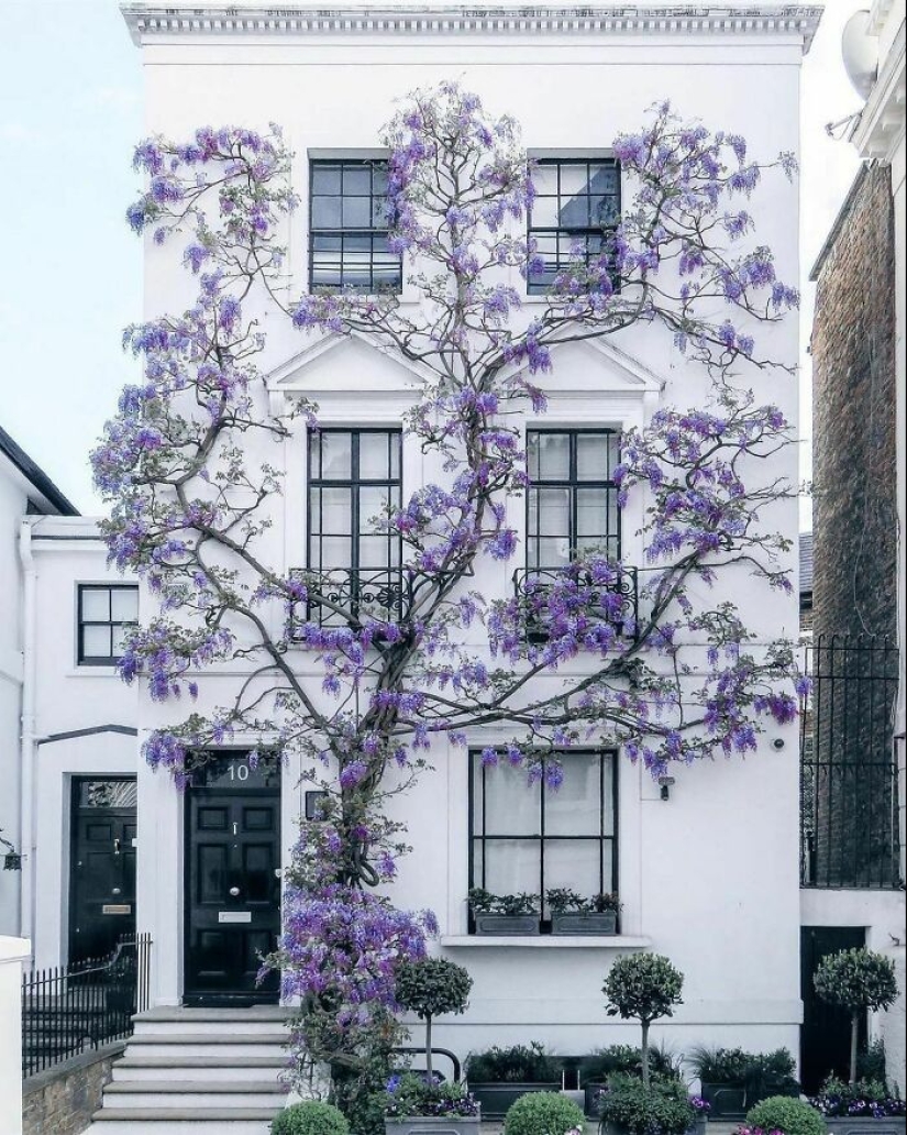 10 Times Architects And Designers Got It Right 10 Times Architects And Designers Got It Right