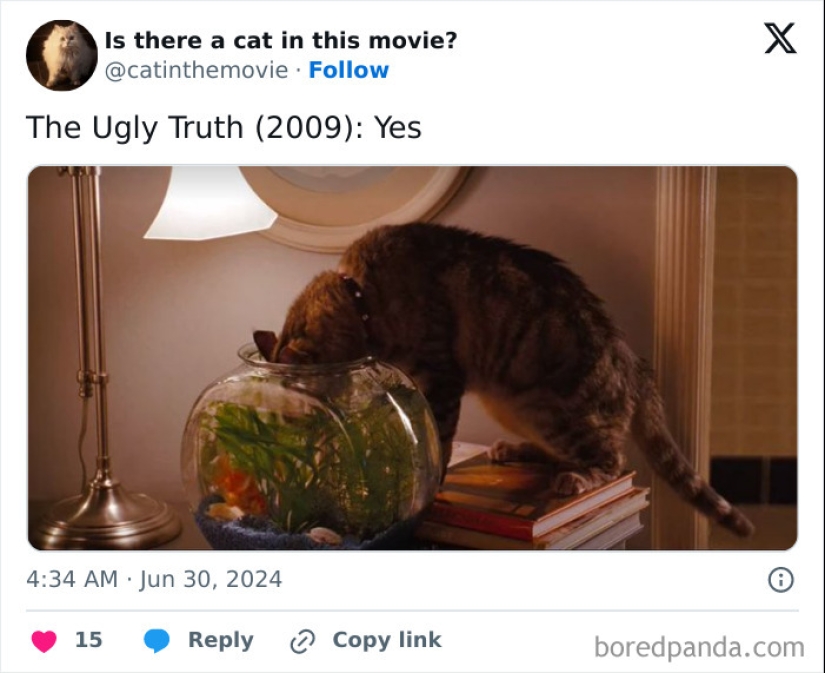 10 Times Cats Were Spotted In A Movie, Uncovered By This Account