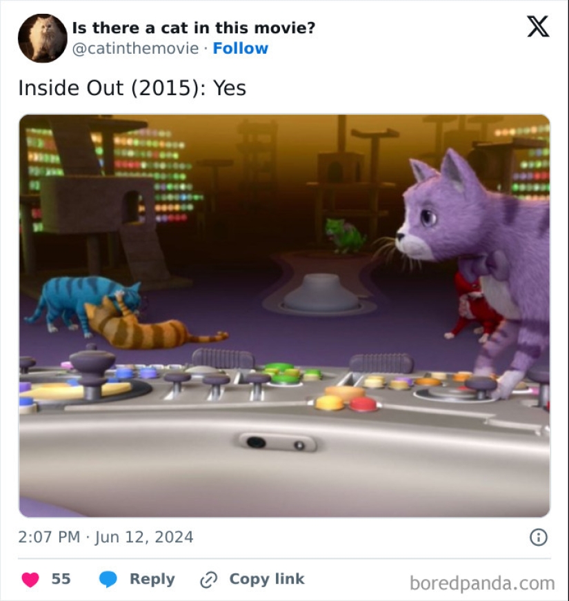 10 Times Cats Were Spotted In A Movie, Uncovered By This Account