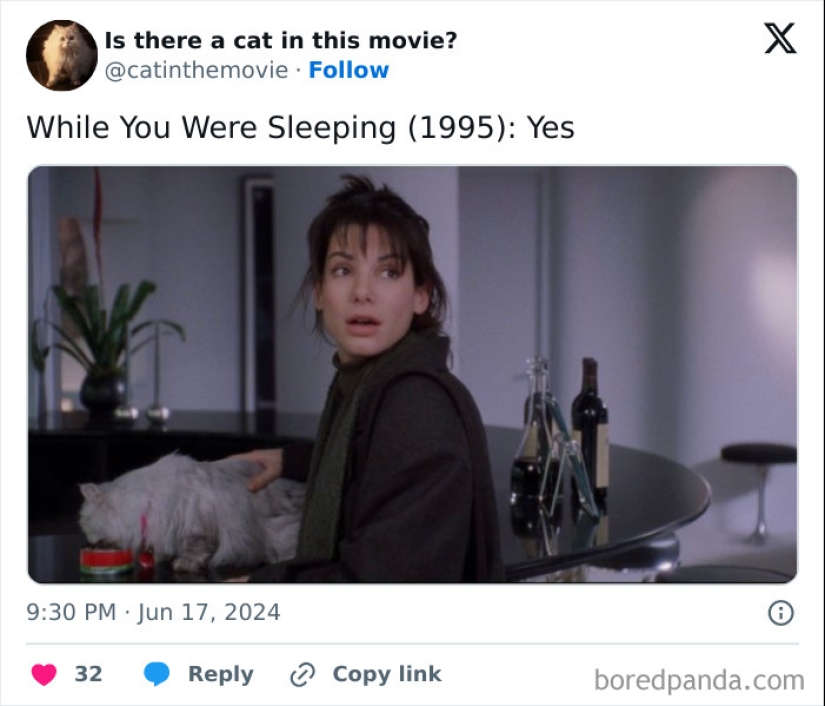 10 Times Cats Were Spotted In A Movie, Uncovered By This Account