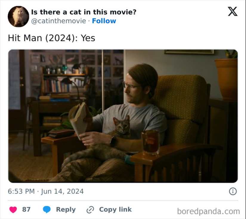 10 Times Cats Were Spotted In A Movie, Uncovered By This Account