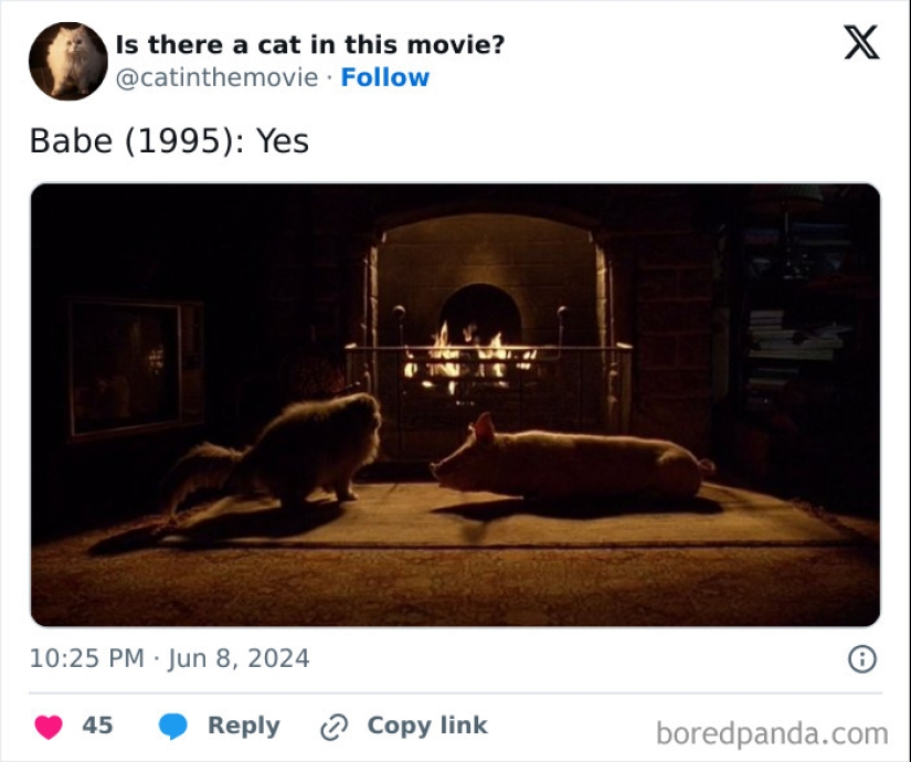 10 Times Cats Were Spotted In A Movie, Uncovered By This Account